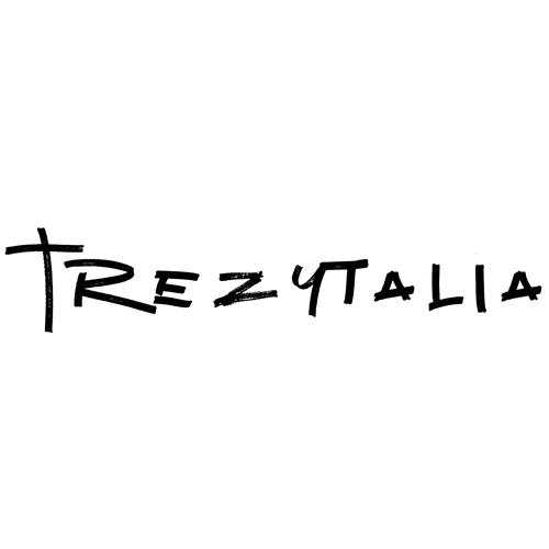 Trezytalia